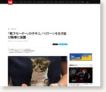 CNN.co.jp : 「靴下セーター」の子ネコ、ハリケーンを生き延び無事に保護 - (1/2)