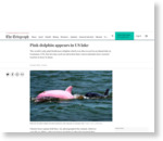  アメリカのルイジアナ州の湖に突然現れたピンク色のイルカ