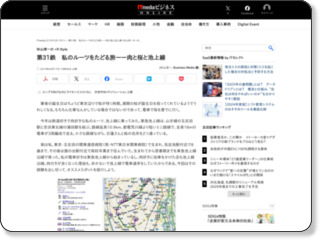 http://bizmakoto.jp/makoto/articles/1004/17/news002.html