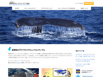 座間味村ホエールウォッチング協会 沖縄・慶良間でザトウクジラを見るツアー http://www.vill.zamami.okinawa.jp/whale/