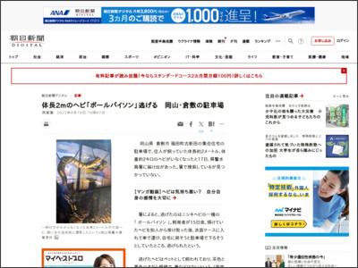 体長2ｍのヘビ「ボールパイソン」逃げる 岡山・倉敷の駐車場 - 朝日新聞デジタル
