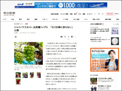 シャインマスカット、出荷量トップに 「もう巨峰に戻らない」 山梨 - 朝日新聞デジタル