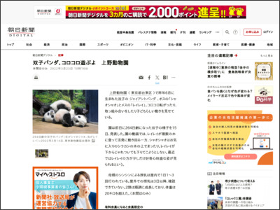 双子パンダ、コロコロ遊ぶよ 上野動物園 - 朝日新聞デジタル
