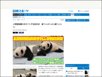 上野動物園の双子パンダ名前決定 雄「シャオシャオ」雌「レイレイ」 - ニッカンスポーツ