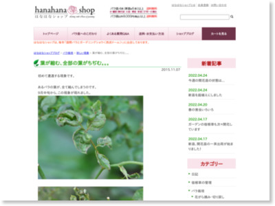 http://hanahana-shop.com/shop_blog/rose/20151107/