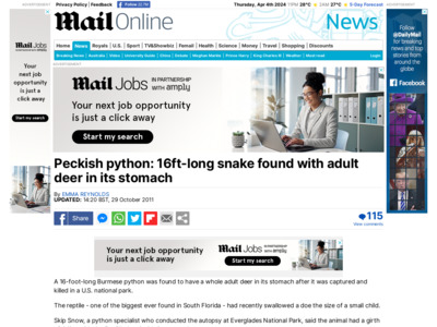 http://www.dailymail.co.uk/news/article-2054968/16-foot-python-Everglades-eaten-deer.html