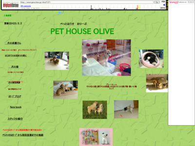 PET HOUSE OLIVE