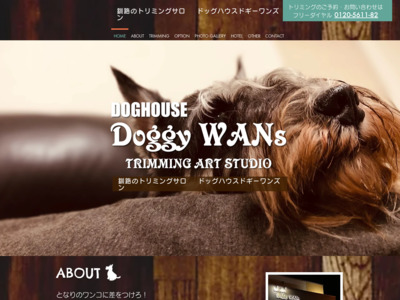 DOGHOUSE Doggy WANs