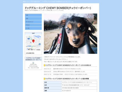 hbOO[~O CHEWY BOMBER