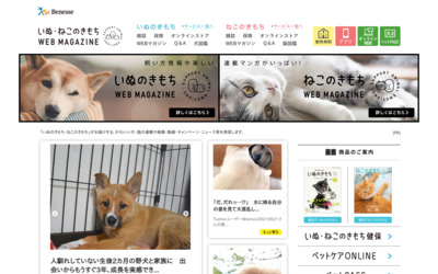 ペット広告 犬広告 猫広告の媒体 メディアまとめ 媒体資料のメディアレーダー